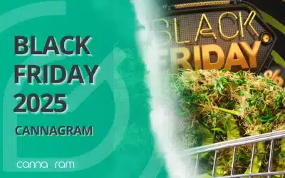 Black Friday Weed Deals in Sacramento 2025 | Cannagram Cannabis Delivery