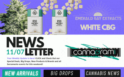 Cannagramer’s News 11/07 — New Prices + Sugar-Free Picks