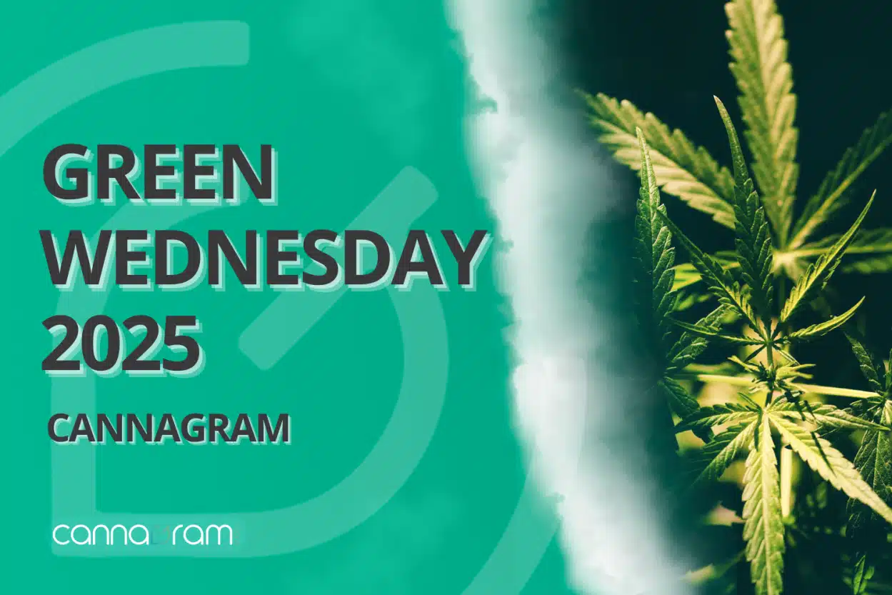 Green Wednesday 2025 Cannagram banner with teal background and cannabis leaves
