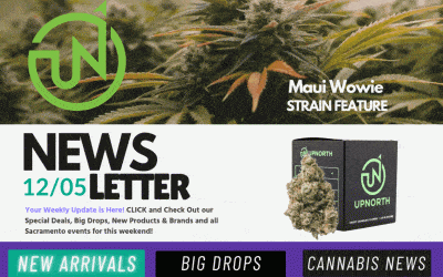 Cannagramer’s News 12/05 — Cannabis for Anxiety, New AIO Drops & Maui Wowie Indoor