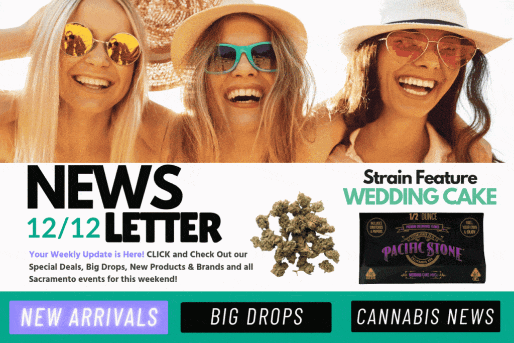 Cannagram Newsletter 12/12 header with “Newsletter 12/12” text, Wedding Cake strain feature, Pacific Stone 14g packshot, and buttons for New Arrivals, Big Drops, and Cannabis News.