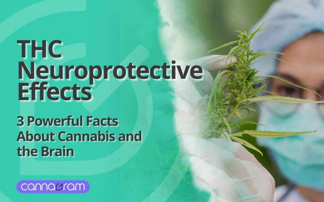THC neuroprotective effects explained through scientific research on cannabis and brain health