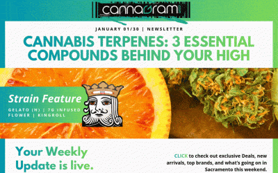 Cannagramer’s News 1/30 — KingRoll B2G1 50% Off, Wyld 3+1¢, $1 Deals & Stiiizy Pods $25