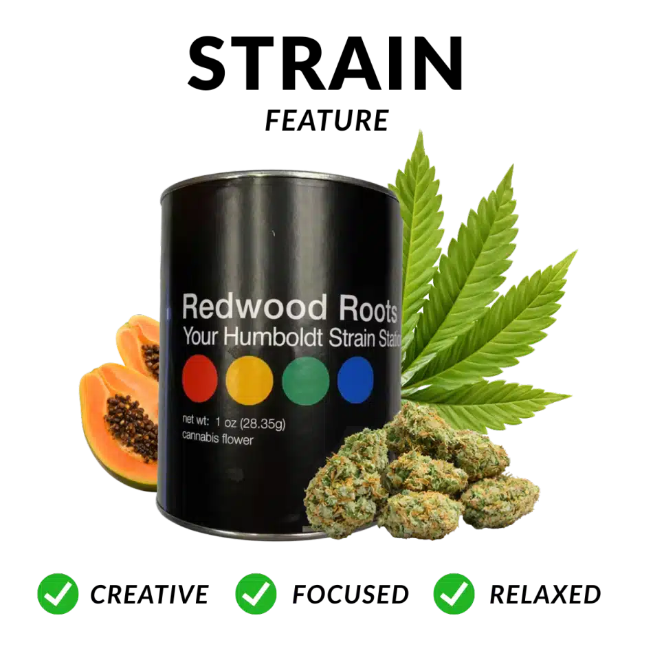 Redwood Roots Papaya 28g Mighty Minis Sun-Grown Flower