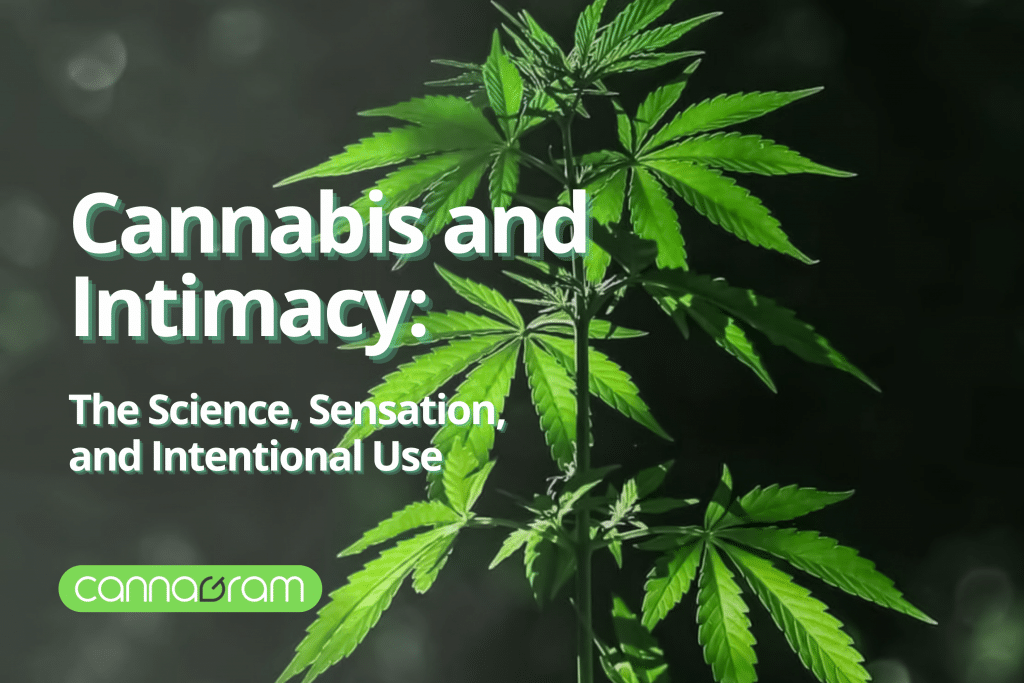 Cannabis plant with text “Cannabis and Intimacy” and Cannagram logo on a dark, soft-focus background.