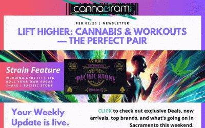 Cannagramer’s News 2/20 — Lift Higher, $1 Deals, 30% Off Codes + Restocks