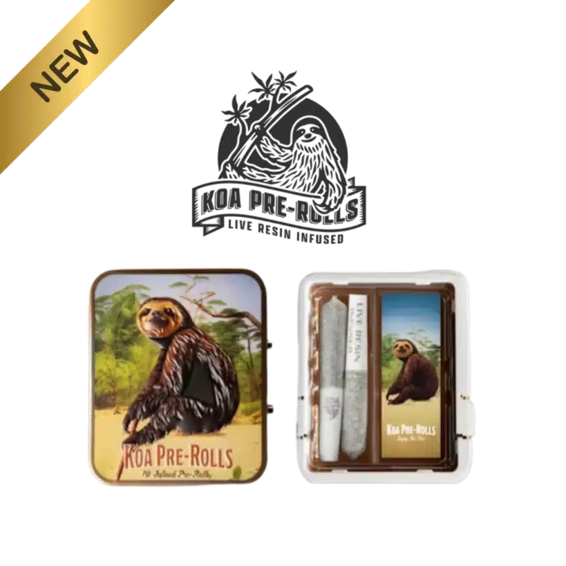 KOA Apples and Bananas (H) .7g 2pk infused prerolls new product