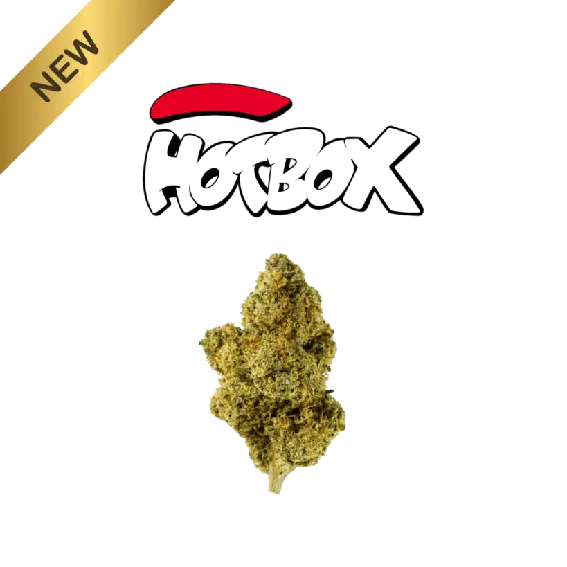 Hotbox new indoor flower drops