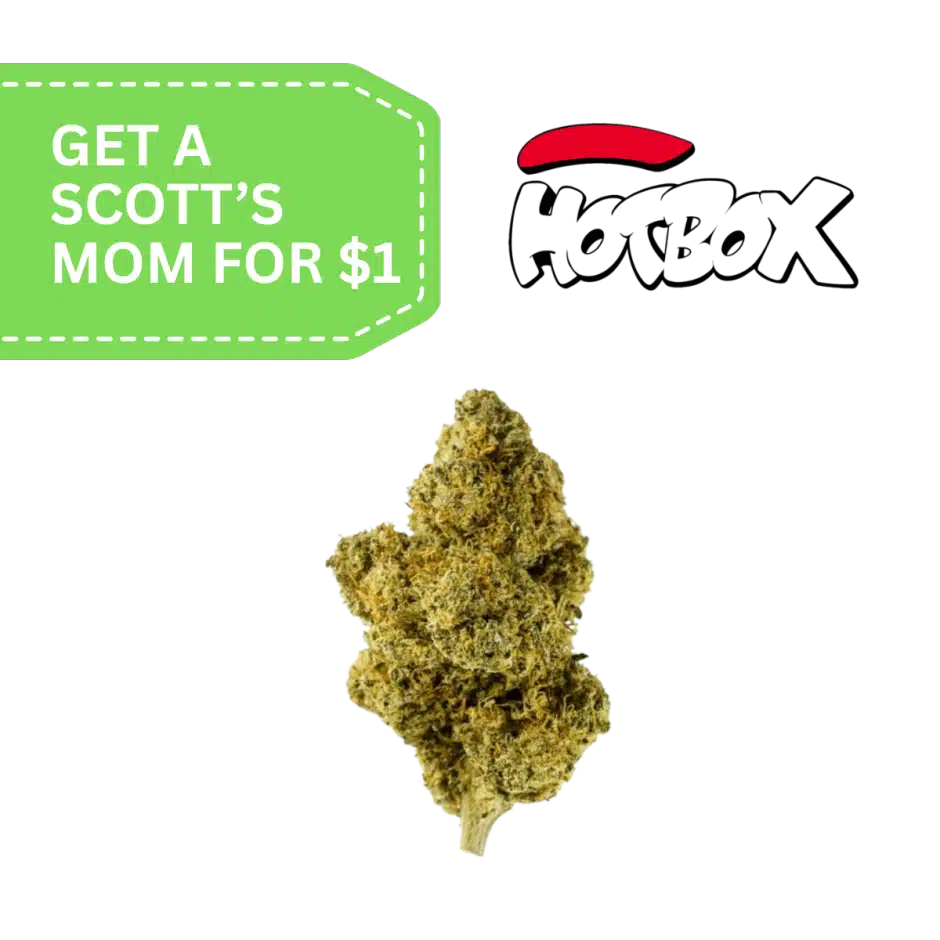 Spend $200+ get Scotty’s Mom Indoor 8th for $1