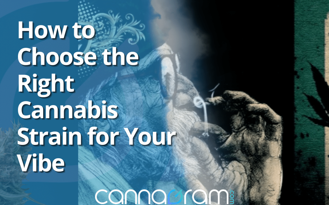 How to Choose the Right Cannabis Strain for Your Vibe