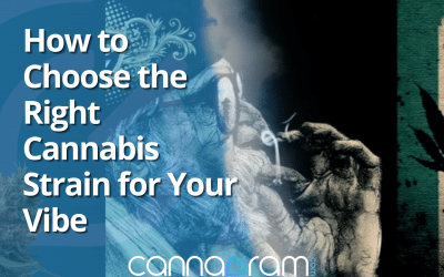 How to Choose the Right Cannabis Strain for Your Vibe