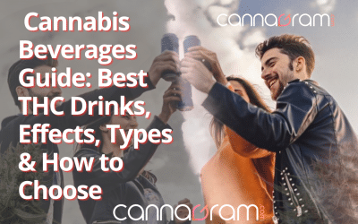 Cannabis Beverages Guide: Best THC Drinks, Effects, Types & How to Choose