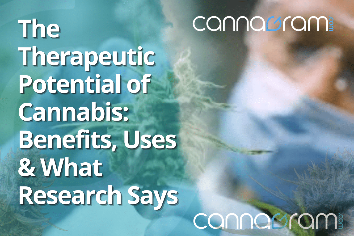 The Therapeutic Potential of Cannabis — cover graphic highlighting benefits, uses, and what research says, with Cannagram branding.