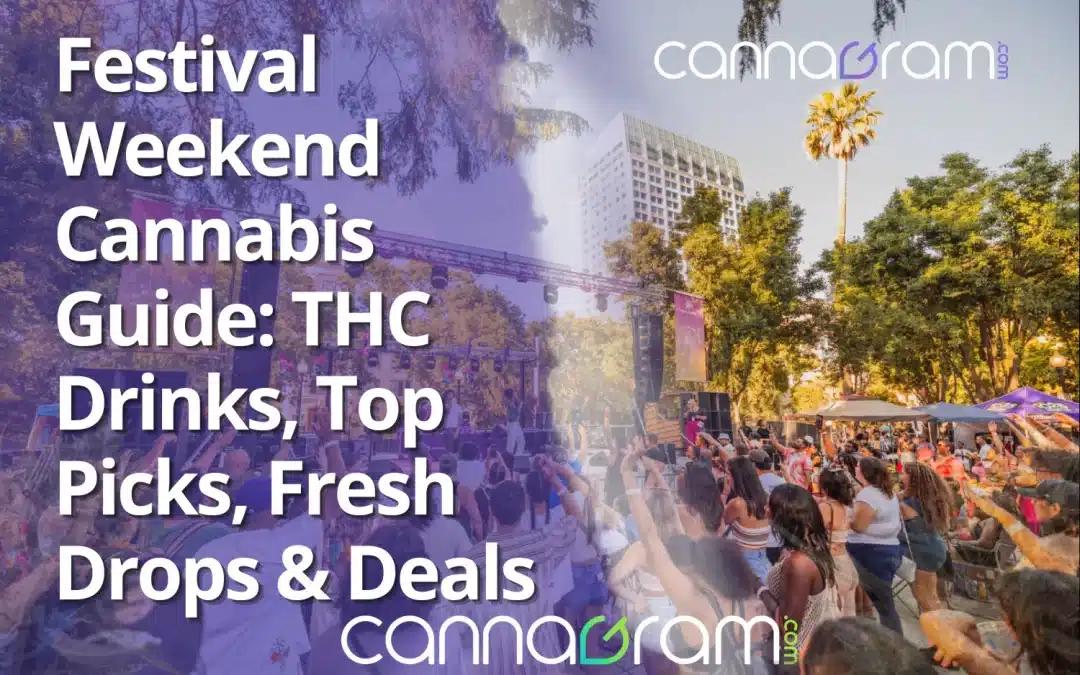 Festival Weekend Cannabis Guide — cover graphic featuring a live music festival crowd in Sacramento with Cannagram branding and headline text.