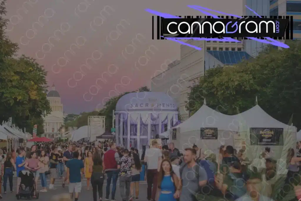 Festival Weekend Cannabis Guide — cover graphic featuring a live music festival crowd in Sacramento with Cannagram branding and headline text.