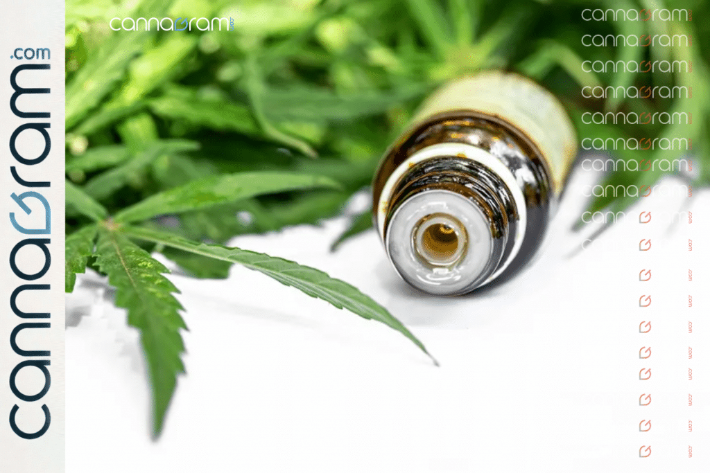 CBN and THCV for alcohol use disorder — close-up of a small extract bottle on a white surface with cannabis leaves in the background.