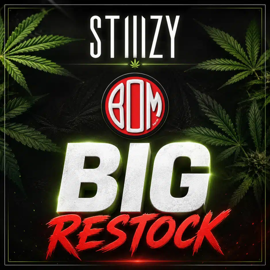 Big Restock — Stiiizy & BOM Farms — Back In Stock