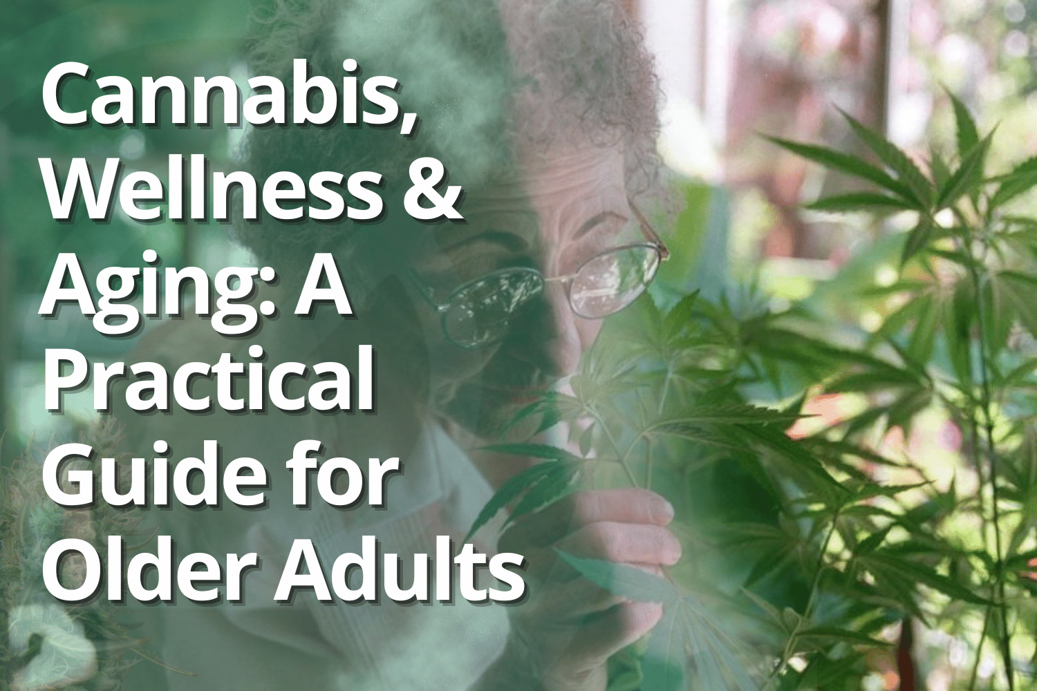 Cannagram blog cover featuring an older adult examining a cannabis plant, with the title Cannabis, Wellness & Aging.