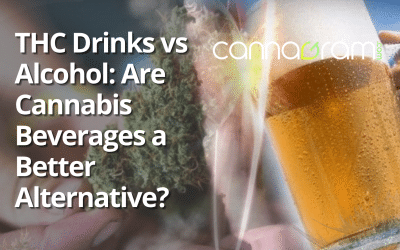 THC Drinks vs Alcohol: Are Cannabis Beverages a Better Alternative?