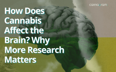 How Does Cannabis Affect the Brain? Why More Research Matters