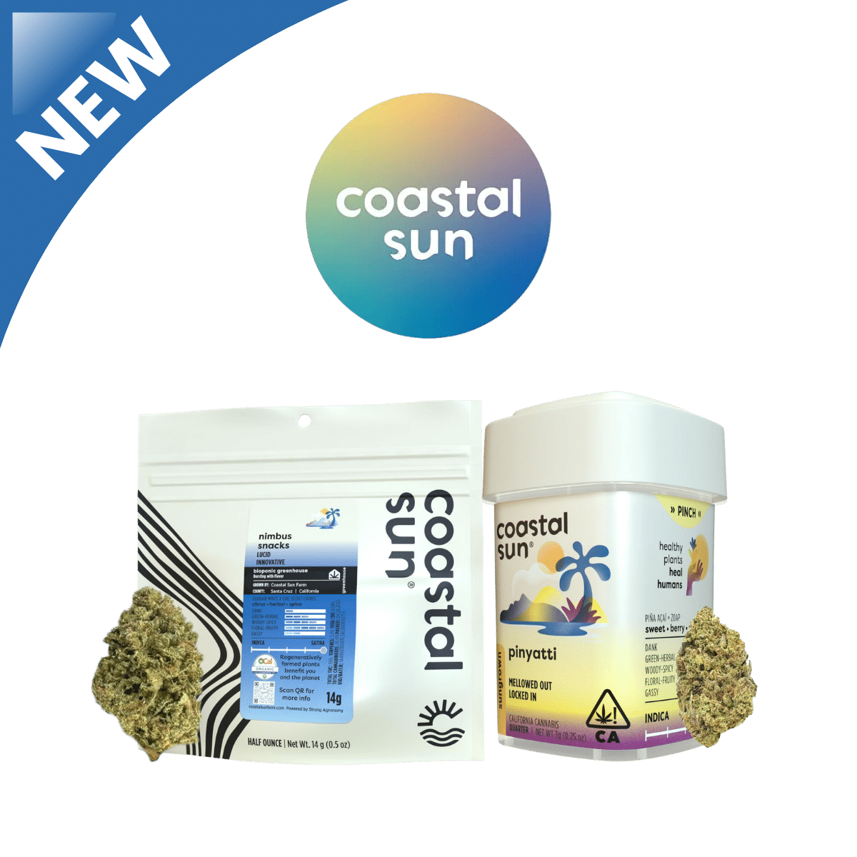 Coastal Sun New Products — Pinyatti 7g Sun Grown & Nimbus Snacks 14g Greenhouse Flower