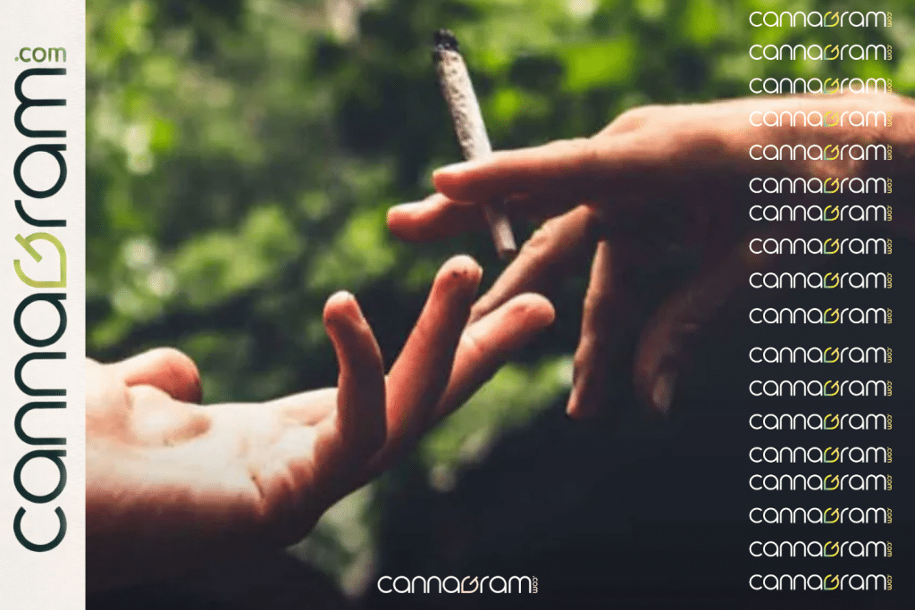 Adult hands with a cannabis pre-roll for responsible Second Saturday planning