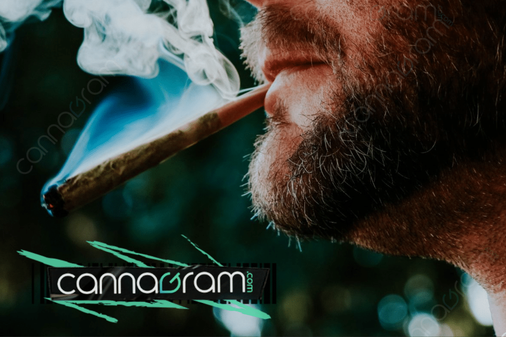 Adult consuming cannabis during a responsible relaxation routine