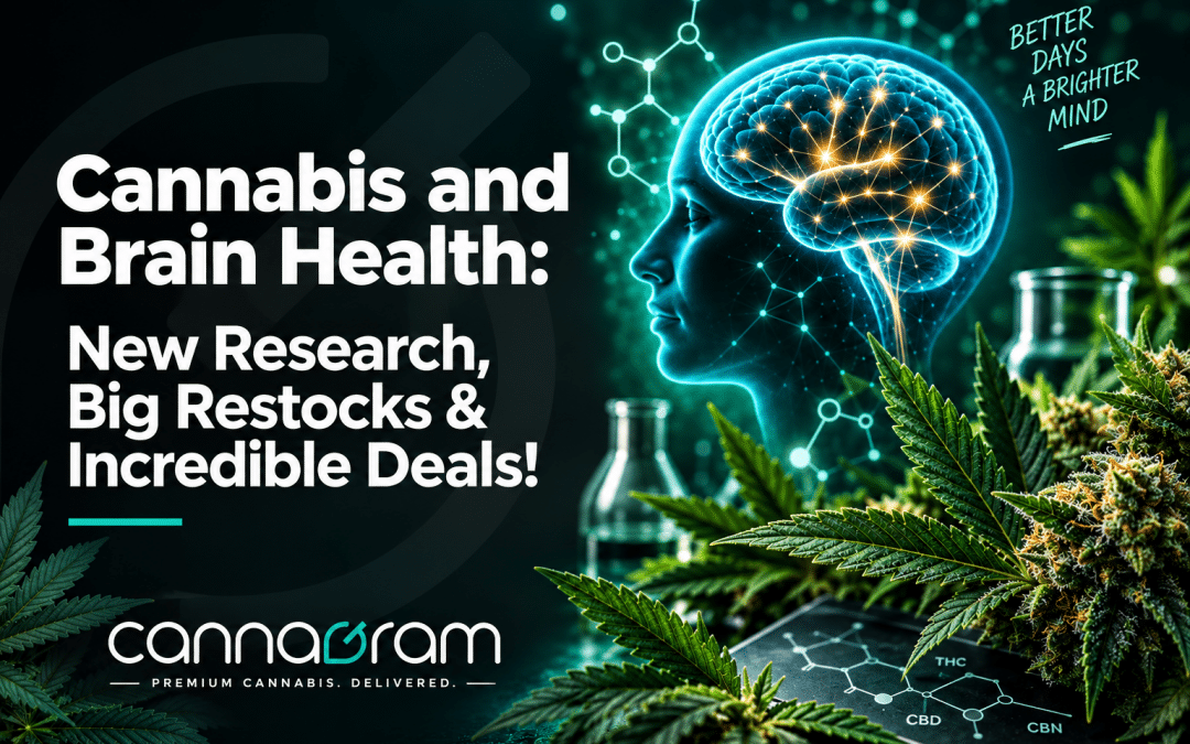 Cannabis and brain health research illustration with cannabis plants, a glowing brain and laboratory elements.