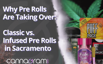 Why Pre Rolls Are Taking Over: Classic vs. Infused Pre Rolls in Sacramento
