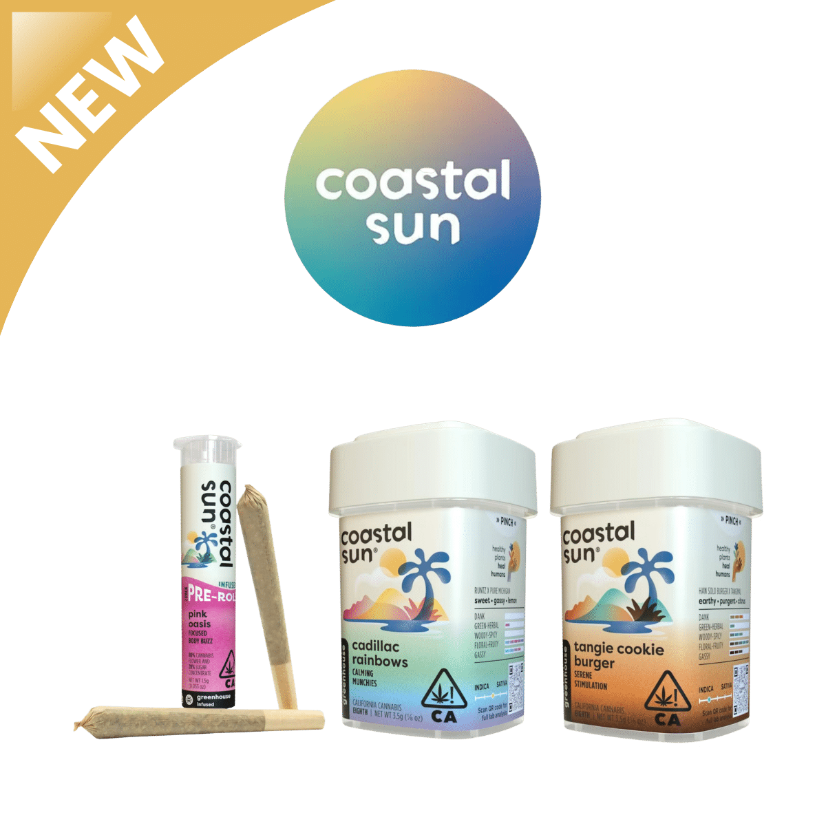 Coastal Sun — Pink Oasis Infused Prerolls and Greenhouse Flower
