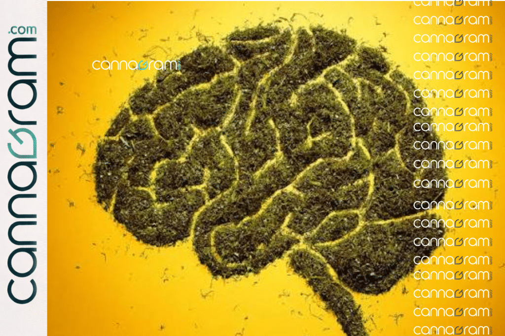 Cannabis flower arranged in the shape of a human brain against a yellow background.