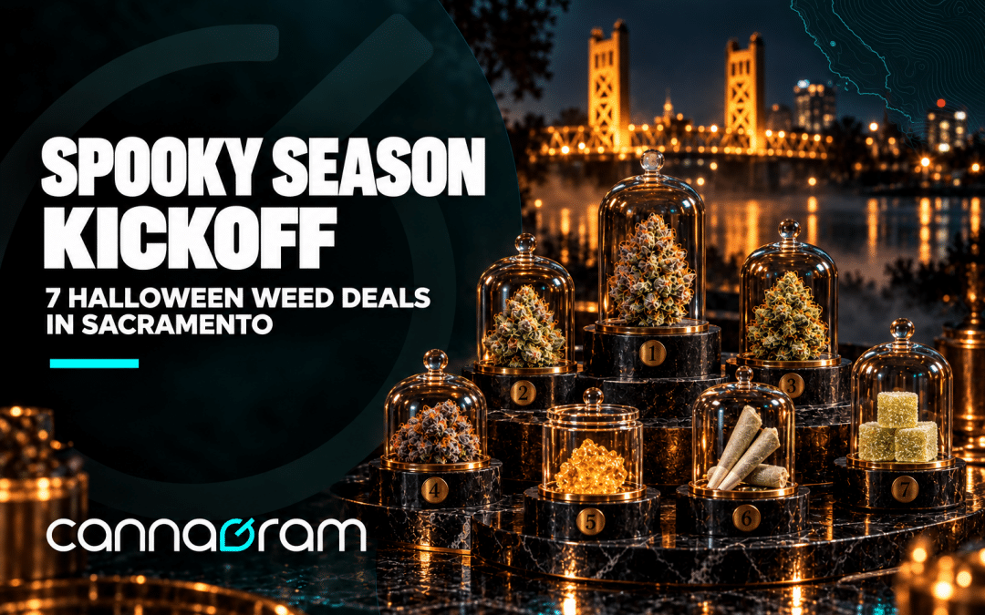 Seven Halloween weed deals in Sacramento displayed under glass with Tower Bridge at night.