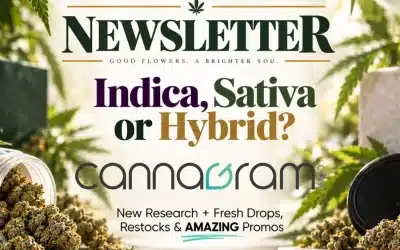 Cannagramer’s News 10/09 — New Research + Weekend Deals | Cannagram